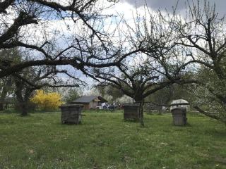 Agroturystyka Podłazy - 1