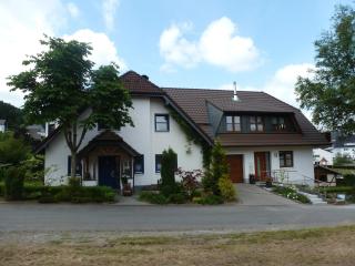 Cosy apartment with private garden in Brachthausen in the Sauerland - 9