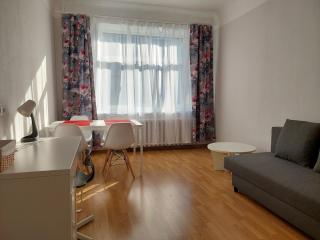 Lovely & sunny 2 rooms Free street parking - Riga - 7