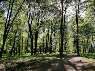 Lovely & sunny 2 rooms Free street parking - Riga - 4