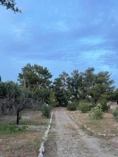 The Simple Space, a pause near the sea - Ayía Paraskeví - 8