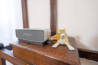 Wellington Cottage - Charming Studio near Hobart CBD - 2