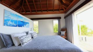 Striking Couples Villa Near Toiny Beach - Toiny - 2