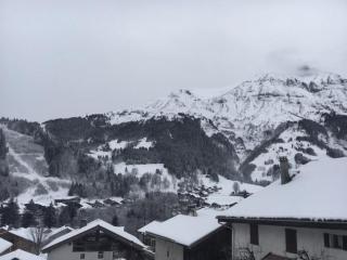 La Pieuca, 50 m2 apartment in old farmhouse - Les Contamines-Montjoie - 4