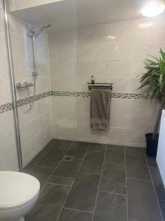 Entire Private Apartment with Kitchen and Lounge - - 4