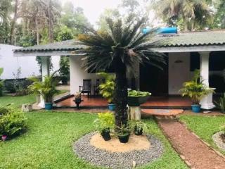 New Greenish Villa - 4