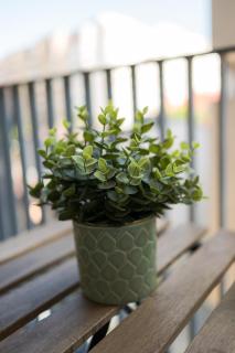 Eric - Spacious Apt with Balcony - 6