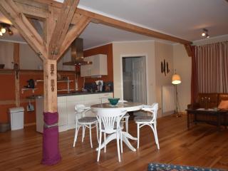Rustic-style Apartment in Buschenhagen with Garden - Buschenhagen - 3