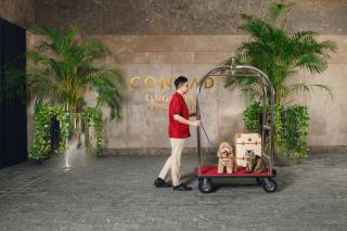 Conrad Singapore Orchard - Singapore - 6