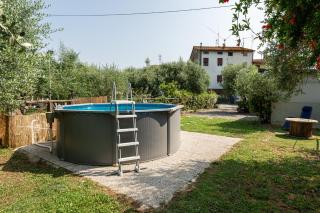 L'olivo - Capannori - 0
