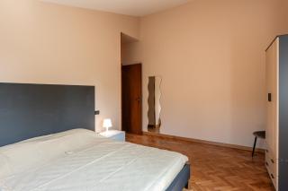 L'olivo - Capannori - 1