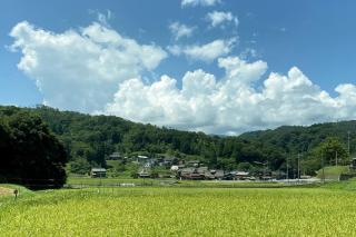 くらし伊根大原 - Ine - 2