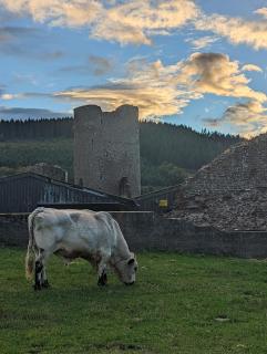 16th Century House, Castle Views, Mountain Views, Hot Tub, Firepit, Stunning Interiors - 5