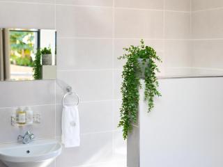 Sage Haven Guesthouse - Modimolle - 9