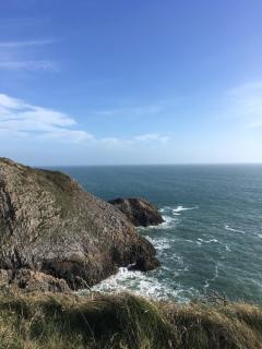 Passion Flower Cottage - Pembrokeshire - 1
