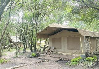 Mara green camp - Masai Mara - 8