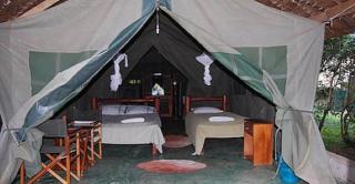 Mara green camp - Masai Mara - 7