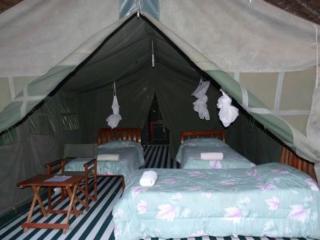 Mara green camp - Masai Mara - 4