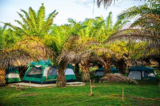 Bugoma Sand Beach - - 6