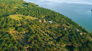 Bugoma Sand Beach - - 4