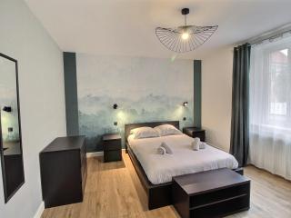 Appartement rénové à Colmar avec jardin et terrasse - FR-1-722-11 - Colmar - 7