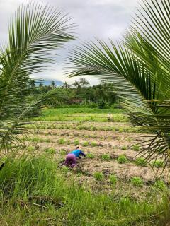 Beautiful 3br bohemian villa - 7