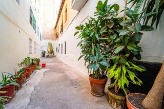 Alicante Urban Retreat Spacious Comfort Near Beach - Alicante - 5