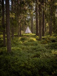 Happie Camp - Hagfors - Hagfors - 2