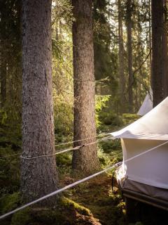 Happie Camp - Hagfors - Hagfors - 1