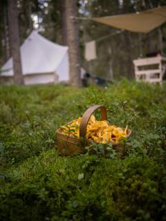 Happie Camp - Hagfors - Hagfors - 4