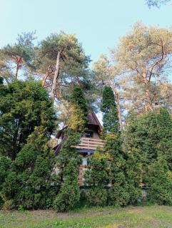 Domek Chatka Czubatka - Bocheniec - 7