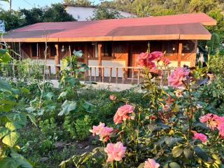Suleymans Garden - Faralya - 3