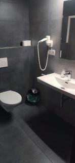 Sun-House Pension&Restaurant -ParkingFree- - Praga - 1