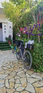 Bar-Restaurant-Hotel-Familja - Klos - 9