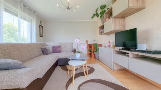 Apartment Ticiana - 1