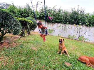 Grande villa 4 chambres piscine - 6