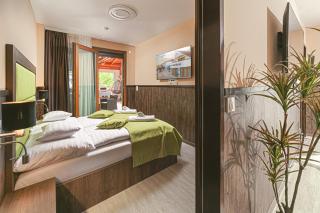 Park Hotel Bükfürdő - Bük - 8