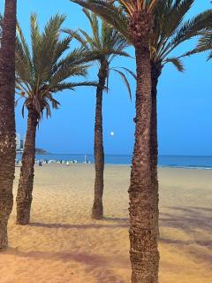 BENILOVE, en playa Benidorm - Benidorm - 6