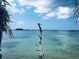 Coco Corals - Matara - 6