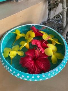 Coco Corals - Matara - 4