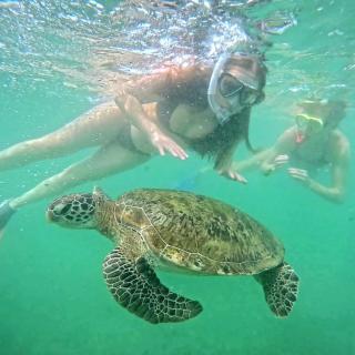 Coco Corals - Matara - 1
