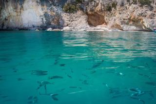 Conchiglia Sud - Cala Gonone - 3