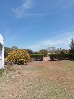 Sky - Cavaleiro - 2