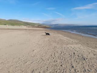 Sher, My Happy super static - Llanddwywe - 4