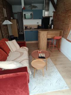 Studio typique Albigeois - quartier calme - Lescure-dʼAlbigeois - 1