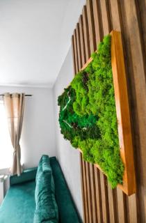 Apartamenty Majka - Zator - 8