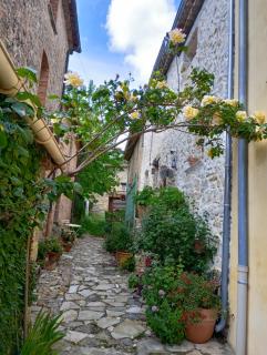 Maison dans hameau provençal - Le Luc - 0