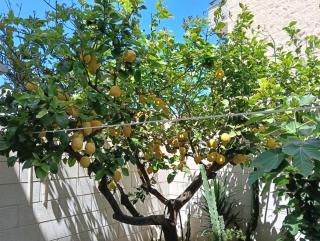 La casa di Carmela - San Foca - 2