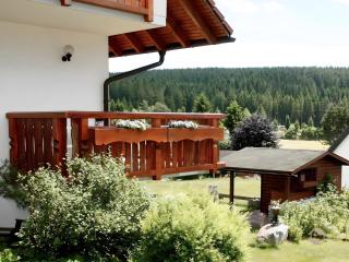 Haus Marianne Dörflinger - Schluchsee - 9