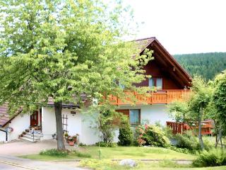 Haus Marianne Dörflinger - Schluchsee - 6